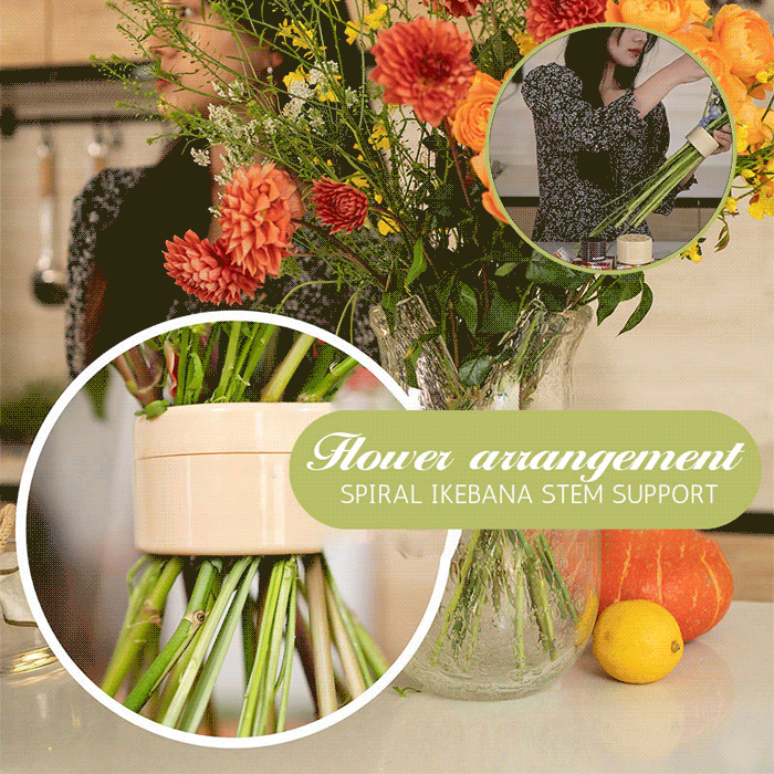 Espiral Ikebana Flower Stem Holder