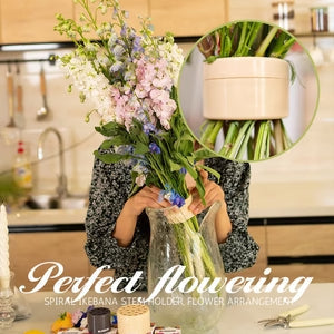 Espiral Ikebana Flower Stem Holder